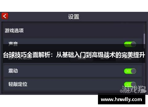 台球技巧全面解析：从基础入门到高级战术的完美提升