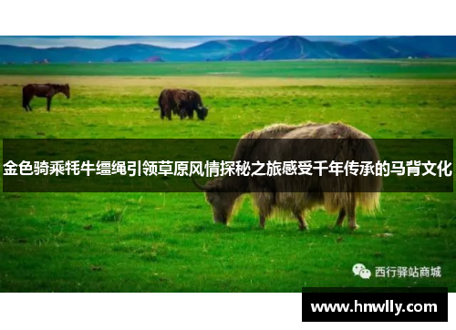 金色骑乘牦牛缰绳引领草原风情探秘之旅感受千年传承的马背文化