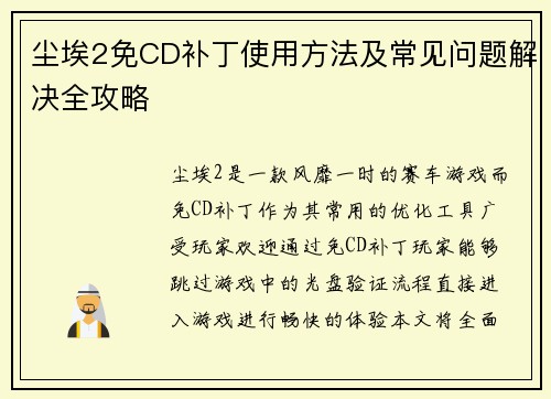 尘埃2免CD补丁使用方法及常见问题解决全攻略